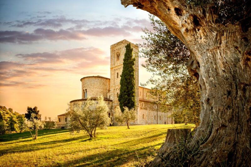 Florence: Monteriggioni & Val d'Orcia Optional Wine Tasting - A Flexible Choice: Transfer Only Option