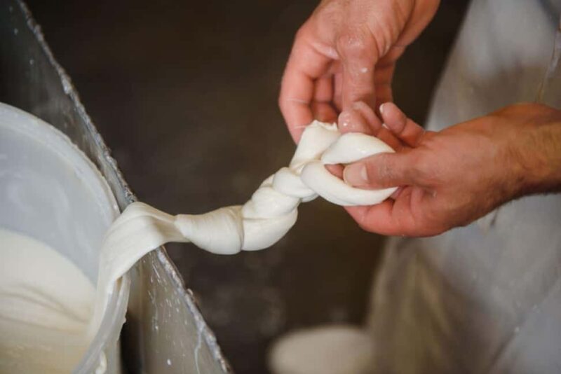 Florence: Mozzarella Making Workshop with Wine Tasting - Key Points