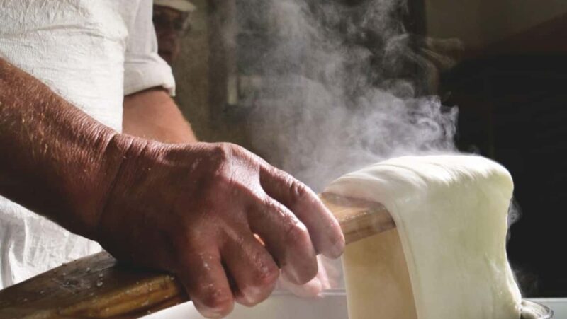Florence: Mozzarella Making Workshop with Wine Tasting - Unmatched Quality as Reflected in Reviews