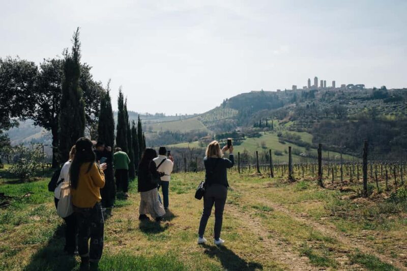 Florence: Pisa, San Gimignano, Siena & Chianti Private Tour - Explore Tuscany in a Comfortable Private Group Setting