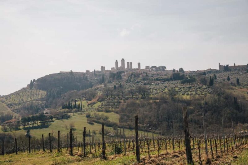 Florence: Pisa, San Gimignano, Siena & Chianti Private Tour - Discovering Siena’s Historic Center with a Local Guide