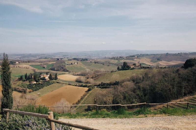 Florence: Pisa, San Gimignano, Siena & Chianti Private Tour - Who Will Enjoy This Tuscany Day Trip?
