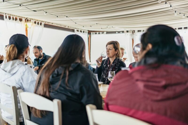 Florence: Pisa, Siena, San Gimignano, and Chianti Experience - Panoramic Views of the Chianti Countryside