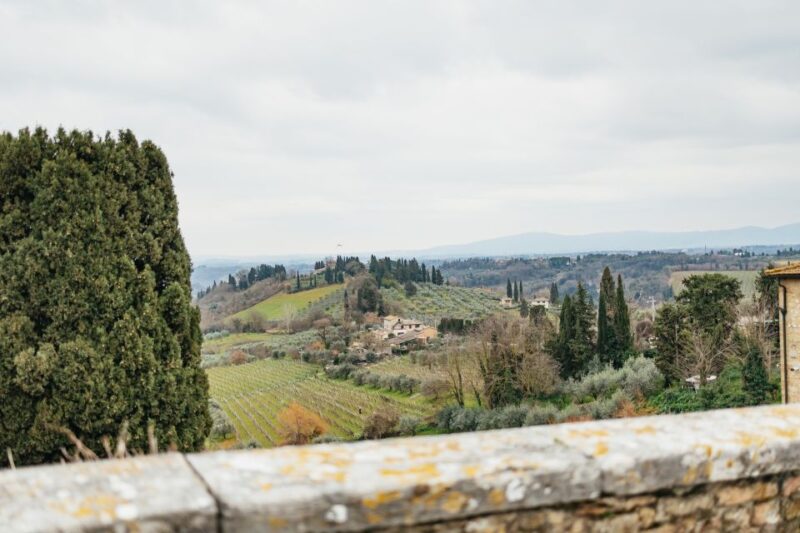 Florence: Pisa, Siena, San Gimignano, and Chianti Experience - Discovering Siena’s Historic Charm