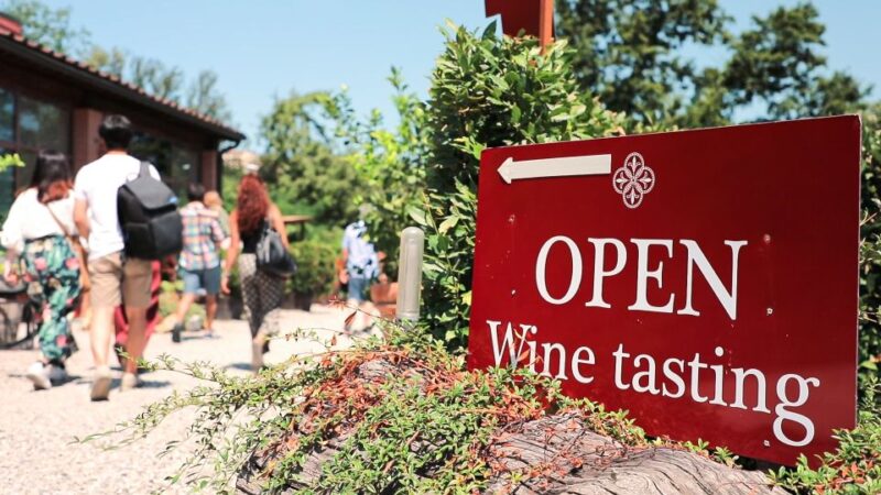 Florence: Pisa, Siena, San Gimignano & Chianti Day Trip - San Gimignano’s Towers and Artisan Shops