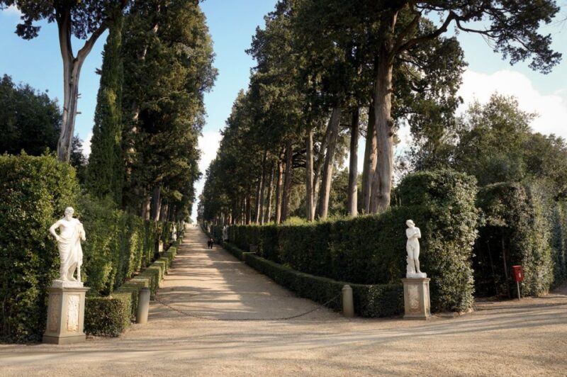 Florence: Pitti Palace Entry Ticket and Guided Walking Tour - The Medici Residence and Its Historical Significance