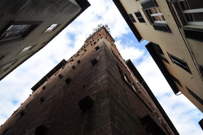 Florence Private Day Trip to Pisa and Lucca - Visiting Basilica di San Frediano and Shopping in Lucca