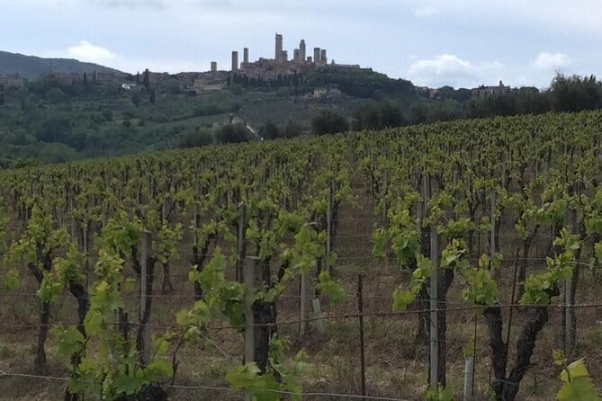 Florence Private Day Trip to Siena and San Gimignano - Siena’s Piazza del Campo and Historic Center