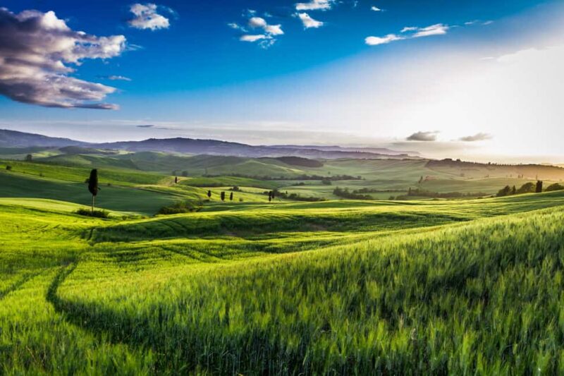 Florence: Private Val d'Orcia with Brunello wines and Lunch - Discover the Charm of Tuscany on a Private Val dOrcia Day Trip
