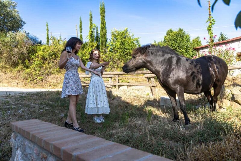 Florence: Secret of Wine and Cheese in a Winery - The Guide: Friendly, Knowledgeable, and Approachable