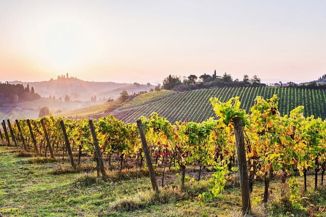 Florence: Siena & San Gimignano DayTrip with Lunch & Wine Tasting - Highlights of the Scenic Tuscan Countryside