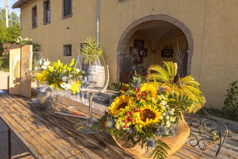 Florence: The secret of wine, cheese and olive oil at a farm - The Guide’s Knowledge and Friendly Approach