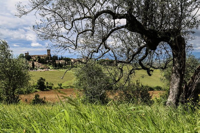 Florence to Tuscany: Chianti, Siena, San Gimignano & Wine + Lunch - The Experience of the Guides and Logistics