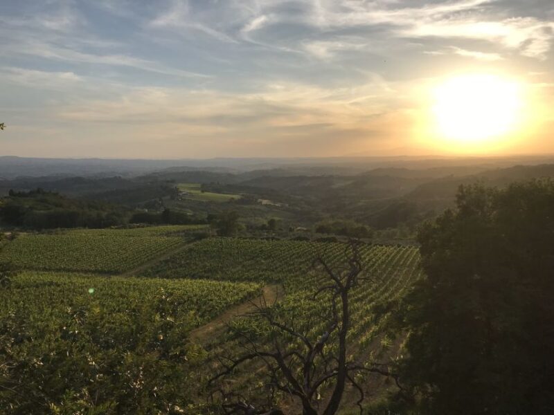 Florence: Tuscany Chianti Winery Private Day-Trip with Lunch - Visiting a Family-Run Estate with Medieval Cellars