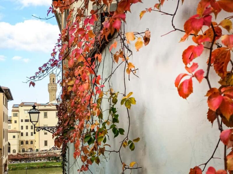 Florence: urban trekking between the historic center and the Tuscan countryside - From the Ponte Vecchio to the Tuscan Hills