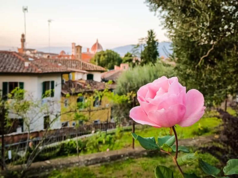 Florence: urban trekking between the historic center and the Tuscan countryside - Logistics and Practical Details