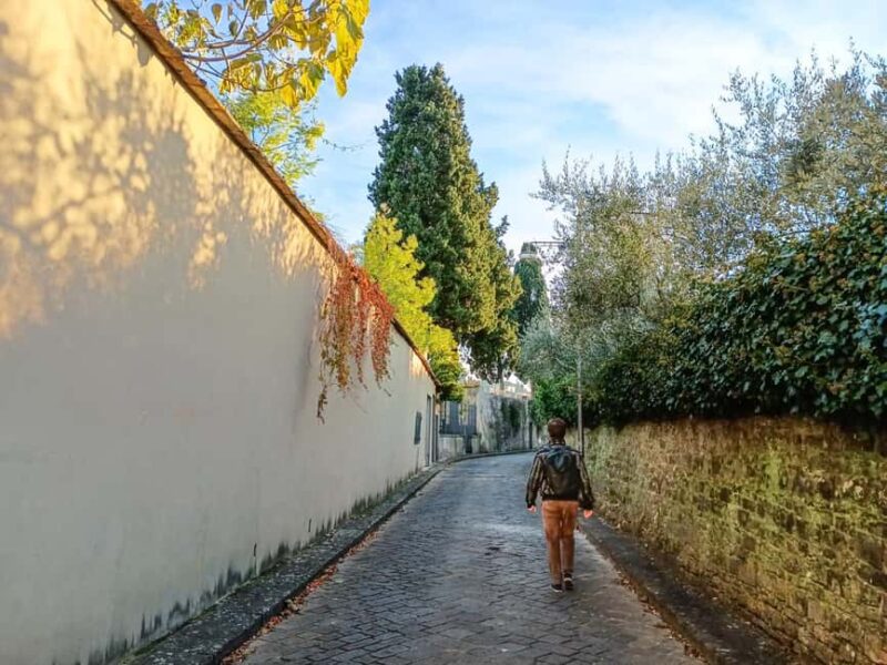 Florence: urban trekking between the historic center and the Tuscan countryside - Who Will Enjoy This Tour the Most