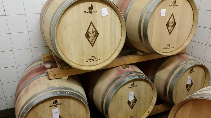 Florence: Wine Tasting at a Vineyard With a Local Winemaker - Guided Wine Tasting in the Vineyards Tasting Room