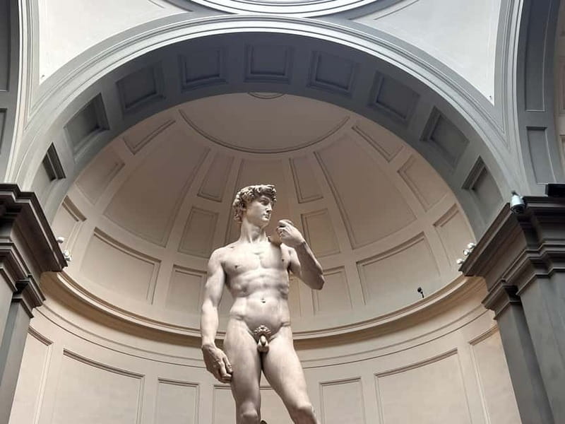 Florence:Accademia + David Entrance Ticket +Agudio Guide APP - Who Will Benefit Most from This Tour?