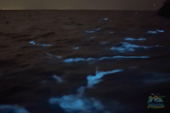 Florida Bioluminescence Clear Kayak tour/ Beacon 42 (Titusville) - Starting Point and Meeting Details in Cocoa Beach