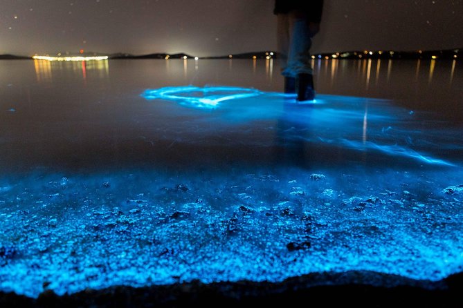 Florida Bioluminescence Kayaking Tour (Titusville) - Discover the Magic of Floridas Bioluminescent Waters for $55