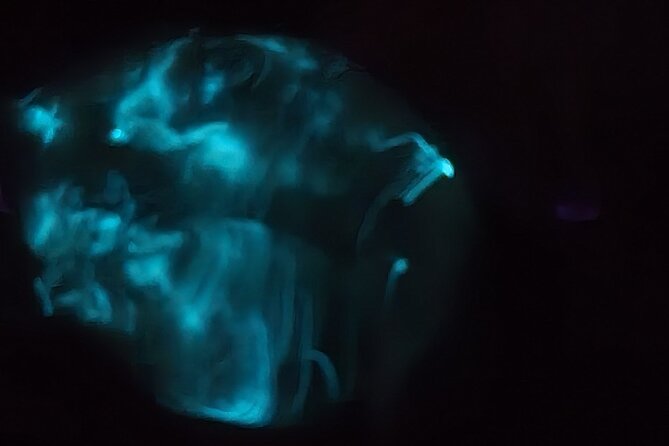 Florida Bioluminescence Kayaking Tour (Titusville) - Physical Requirements and Practical Tips for Participants