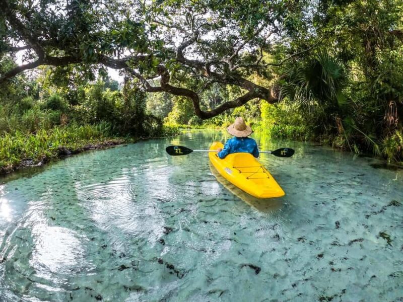 Florida: Emerald Cut Kayak Adventure - Ease of Paddling and Accessibility