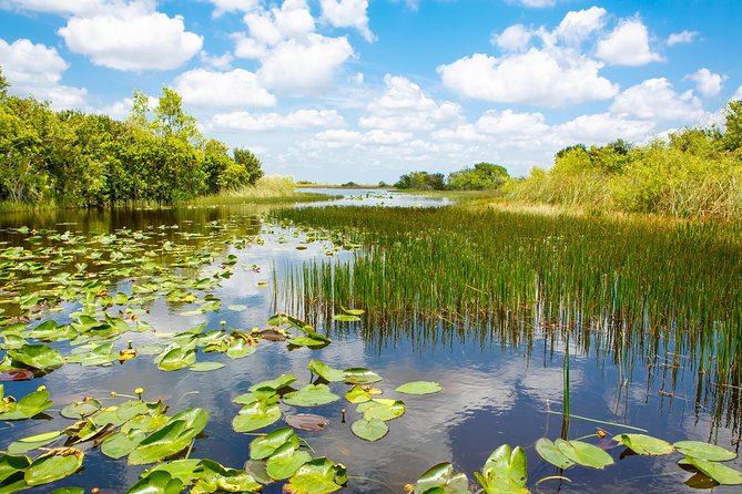 Florida Everglades Airboat Adventure plus Miami Biscayne Bay Cruise - Biscayne Bay Cruise: City Views and Marine Life