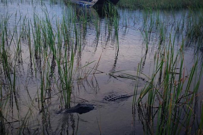 Florida Everglades Private Night Airboat Ride Tour - The Safety and Comfort Aspects of the Tour