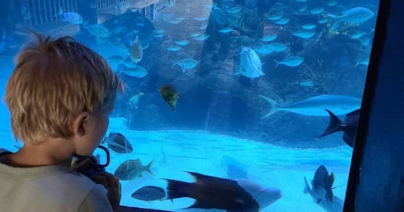 Florida Keys: Aquarium Encounters Day Tour with Lunch - Key Highlights Include Marine Life Encounters and Scenic Parks