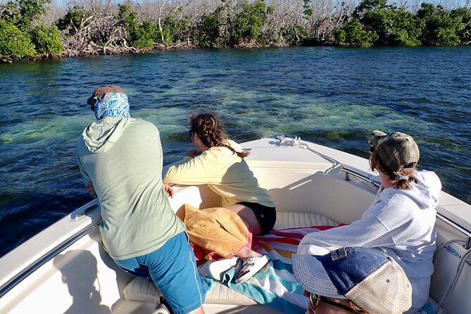 Florida Keys Backcountry Eco Tour from Big Pine Key - Practical Details: Meeting Point, Booking, and Flexibility