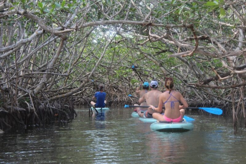 Florida Keys: Full-Day Kayak + Snorkel Coral Reef Adventure - Key Points