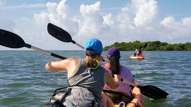 Florida Keys: Full-Day Kayak + Snorkel Coral Reef Adventure - Experience the Florida Keys’ Seagrass Flats and Mangrove Tunnels