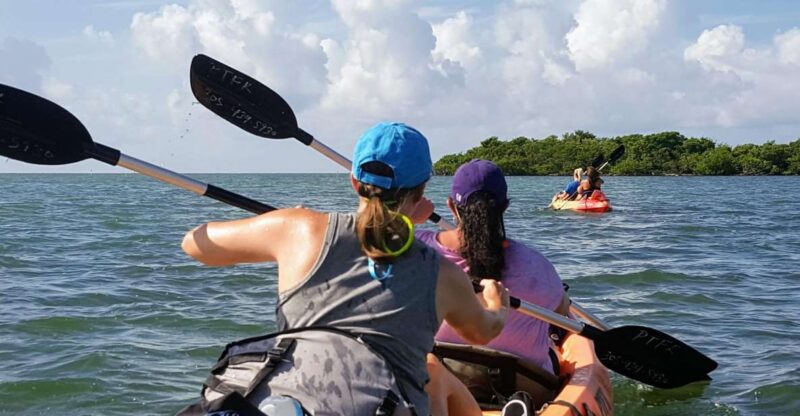 Florida Keys: Full-Day Kayak + Snorkel Coral Reef Adventure - Flexibility with Booking and Cancellation Policies