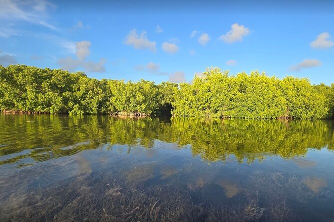 Florida Keys Kayak And Paddleboard Rentals - Key Points