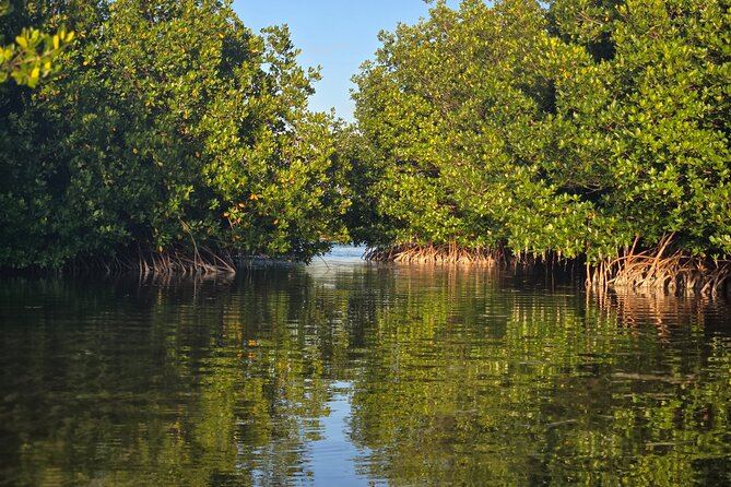 Florida Keys Kayak And Paddleboard Rentals - Guided by Knowledgeable Staff and Equipment