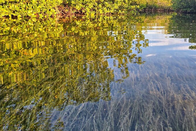 Florida Keys Kayak And Paddleboard Rentals - Flexibility and Extended Paddling Options
