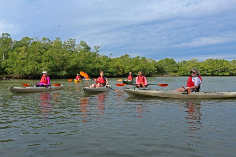 Florida Keys: Key West Kayak Eco Tour with Nature Guide - Wildlife Encounters and Marine Life