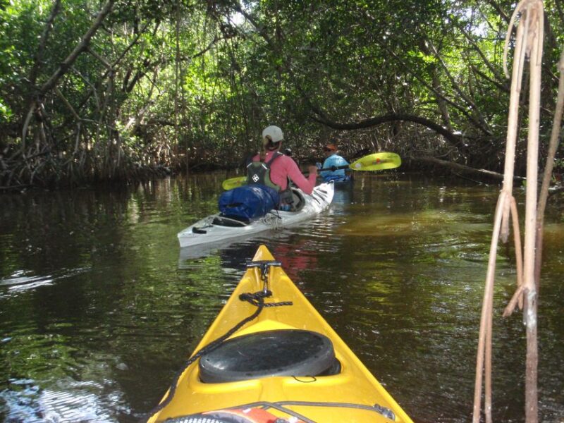 Florida Keys: Key West Kayak Eco Tour with Nature Guide - The Unpredictable Nature of Wildlife Sightings