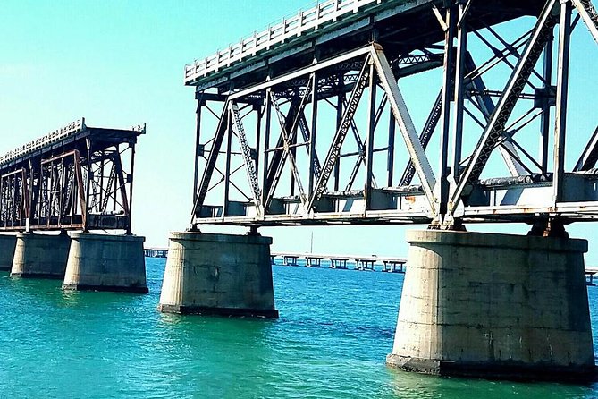 Florida Keys Nature & History Tour from Key West - Encountering the Endangered Key Deer at Big Pine Key