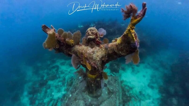 Florida Keys: Scuba Diving & Snorkeling Reef Trip - Florida Keys: Snorkeling and Diving on a 4-Hour Reef Adventure