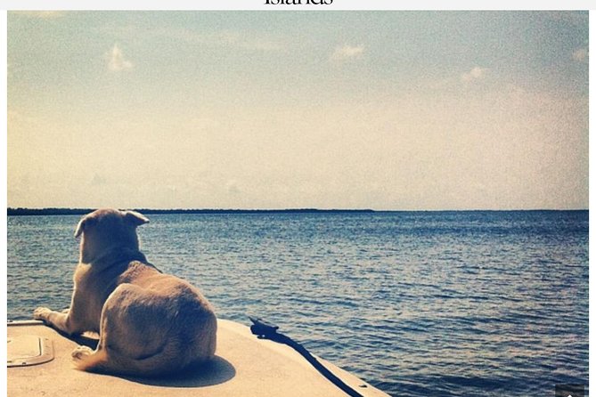 Florida Keys Tour and Private Transportation service - Discovering Islamorada’s Marine and Historical Sites