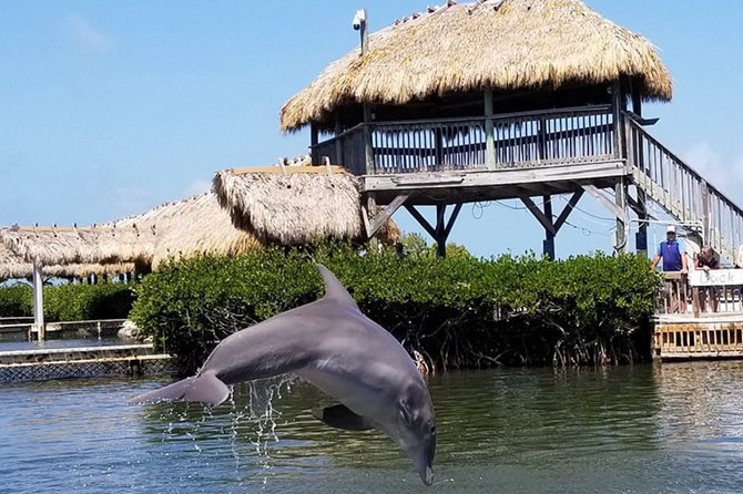 Florida Keys Tour and Private Transportation service - Arriving in Iconic Key West