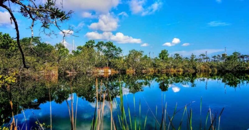 Florida Keys: Up The Keys Nature Tour - Explore the Florida Keys on a 4-Hour Guided Adventure