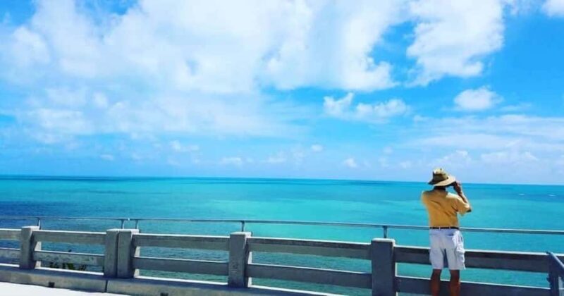 Florida Keys: Up The Keys Nature Tour - Key Points