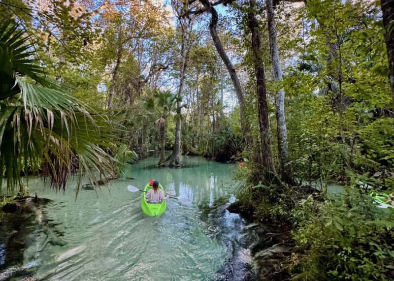Florida: Rock Springs Run Clear Kayak Adventure - Navigating the Scenic Route: From the Launch to Kelly Park