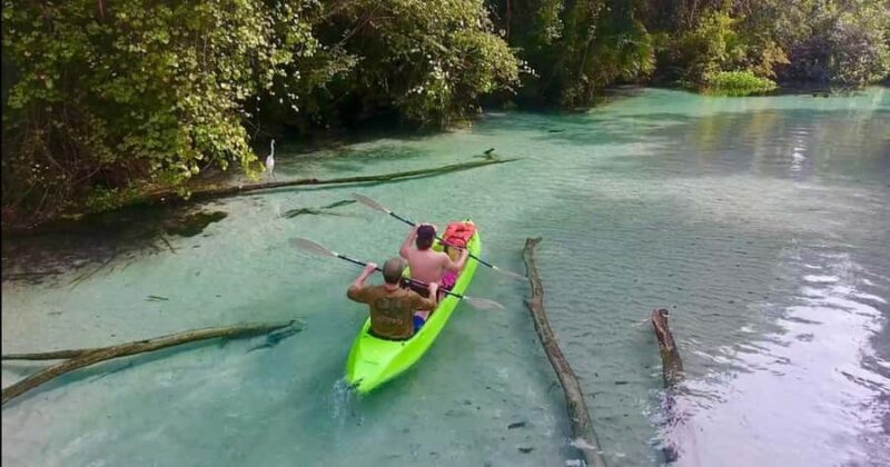 Florida: Rock Springs Run Clear Kayak Adventure - What Makes the Water Conditions Unique in Different Seasons
