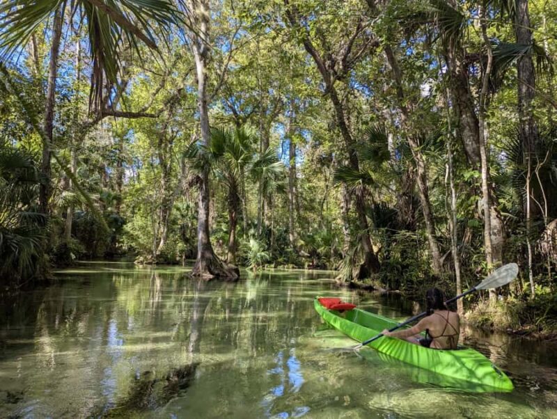 Florida: Rock Springs Run Clear Kayak Adventure - Physical Requirements and Safety Precautions