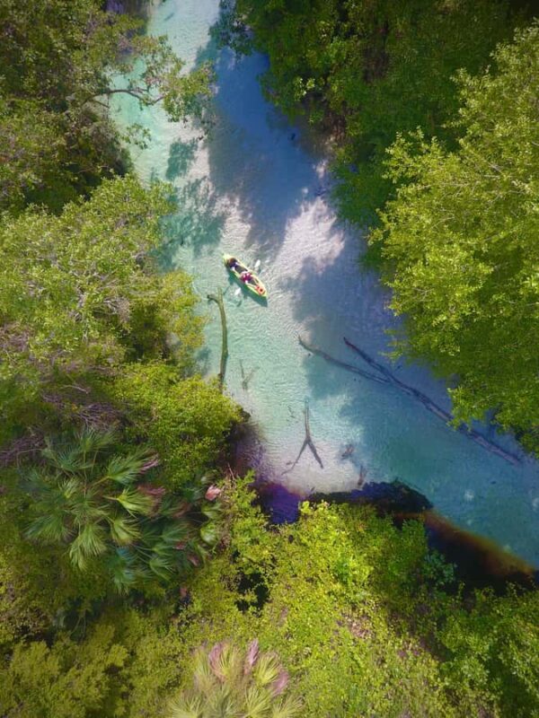 Florida: Rock Springs Run Clear Kayak Adventure - The Guides: Knowledgeable and Passionate about the River