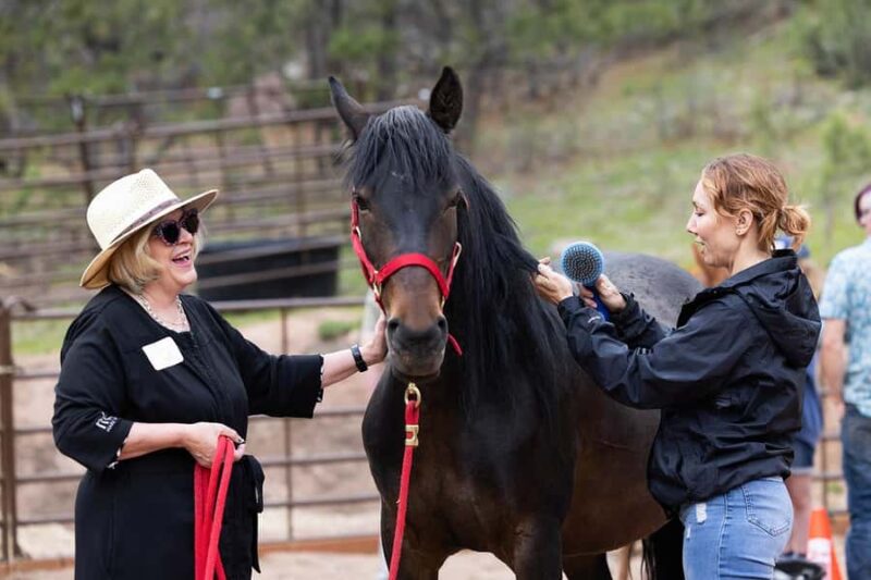 Florissant: Private Horse Experience with Rescue Mustangs - Discover the Unique Charm of the Florissant Private Horse Experience with Rescue Mustangs